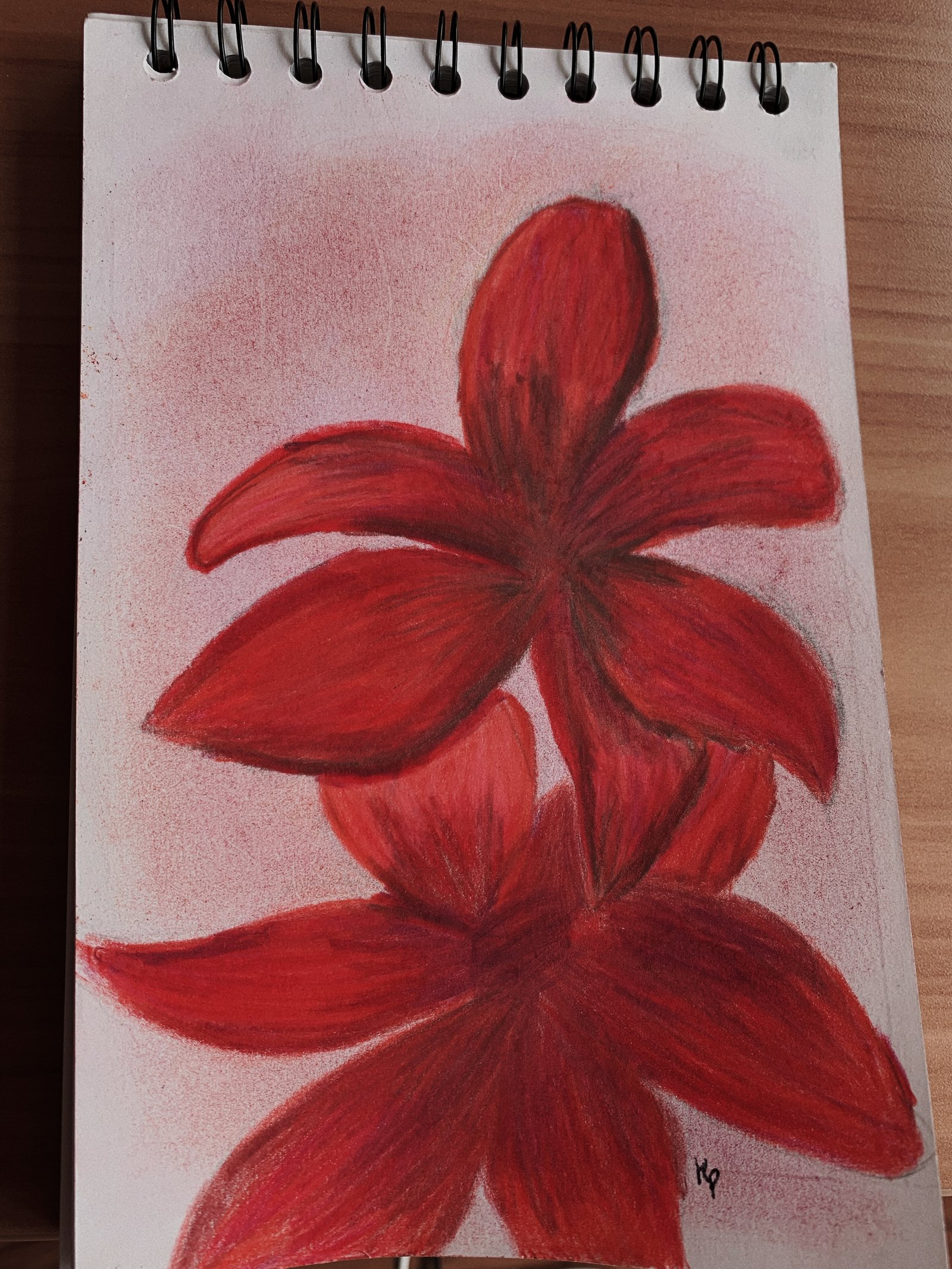 Ilustración de flor roja