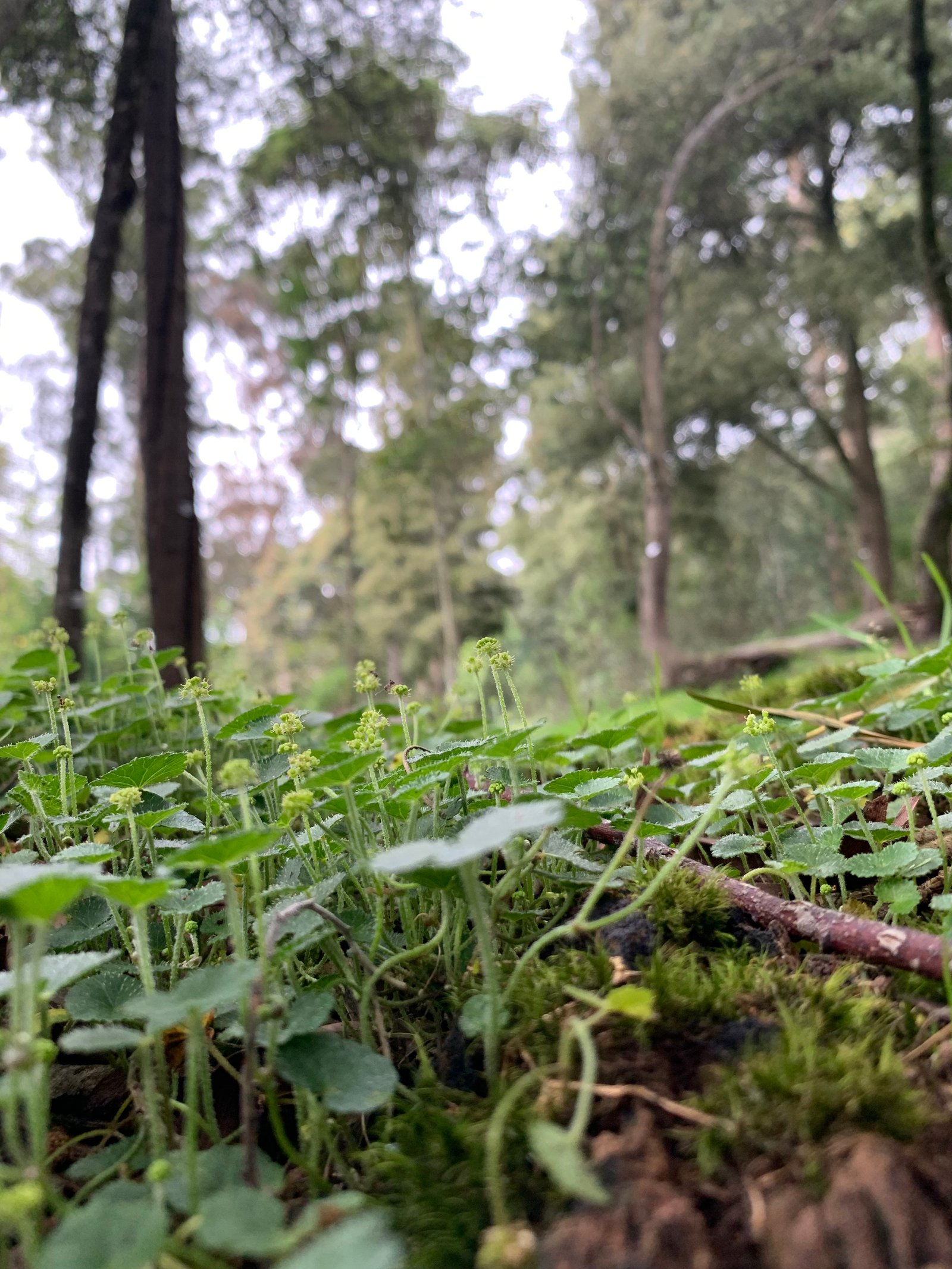 Fotografía de naturaleza