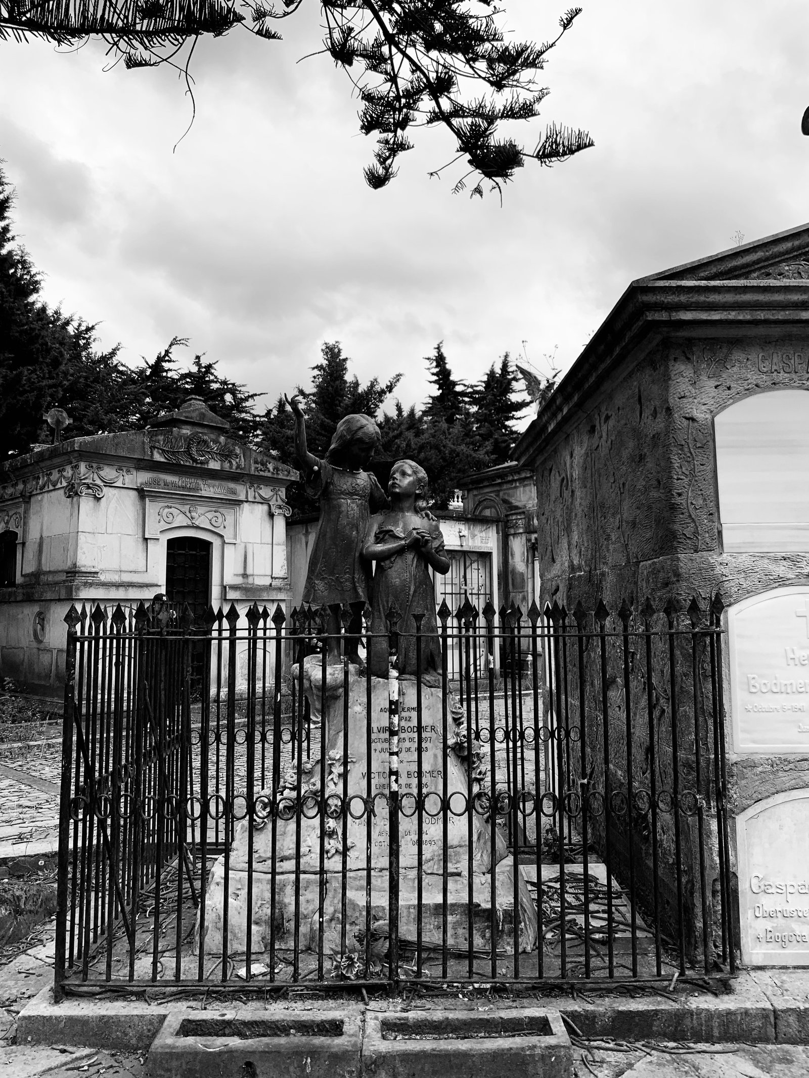 Fotografía blanco y negro